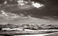 Seascapes