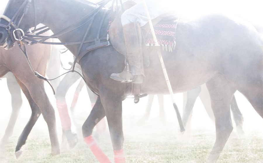 12 : Polo : bob tabor images