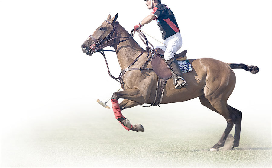 6 : Polo : bob tabor images