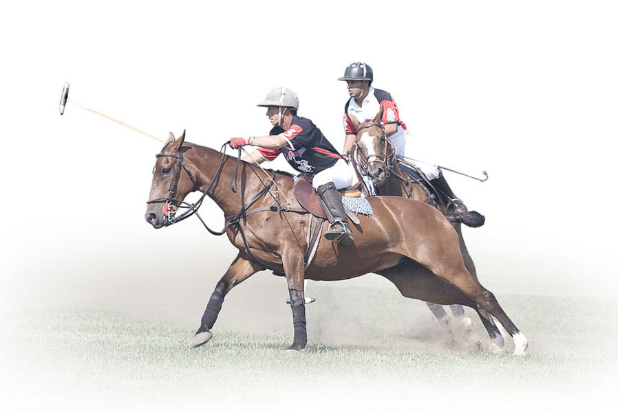 1 : Polo : bob tabor images