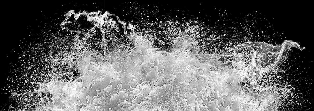 Splash 8 : Splash : bob tabor images