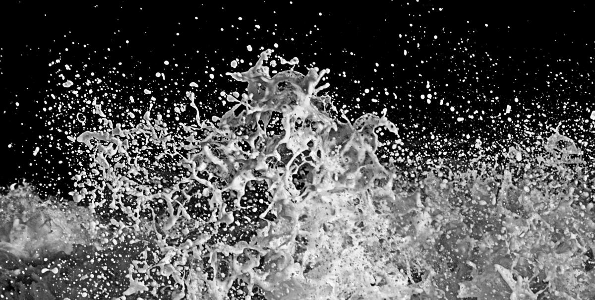 Splash 13 : Splash : bob tabor images